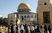 بعد اقتحام بن غفير: الأمم المتحدة تؤكد عقد جلسة لمجلس الأمن 